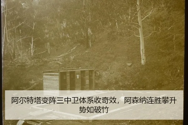 a-er-te-ta-bian-zhen-san-zhong-wei-ti-xi-shou-qi-xiao-a-sen-na-lian-sheng-pan-sheng-shi-ru-po-zhu-2-640.jpg