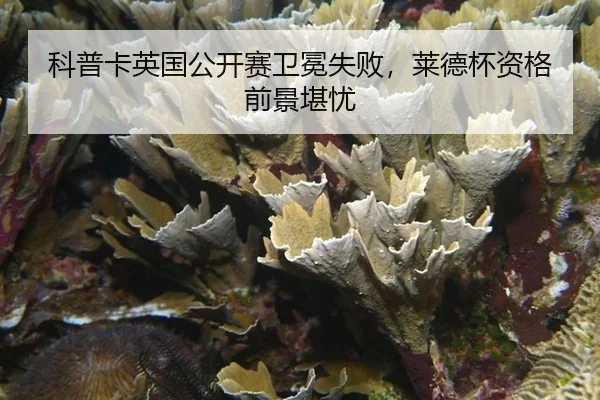 ke-pu-ka-ying-guo-gong-kai-sai-wei-mian-shi-bai-lai-de-bei-zi-ge-qian-jing-kan-you-2-918.jpg