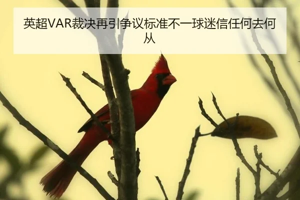 ying-chao-cai-jue-zai-yin-zheng-yi-biao-zhun-bu-yi-qiu-mi-xin-ren-he-qu-he-cong-3-872.jpg